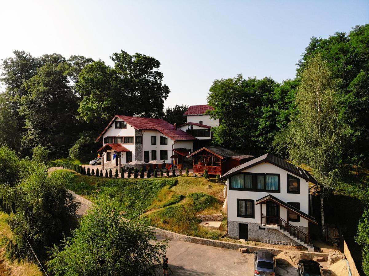 Stejarul Lui Andrei 호텔 Izvoarele  외부 사진